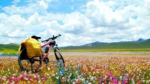  “美利达杯”自行车摄影大赛获奖作品出炉