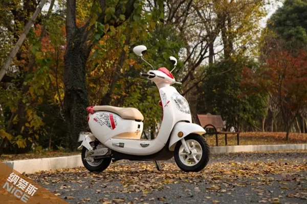 纳爱斯丨在初冬的暖阳里，寻迹最后一抹秋色