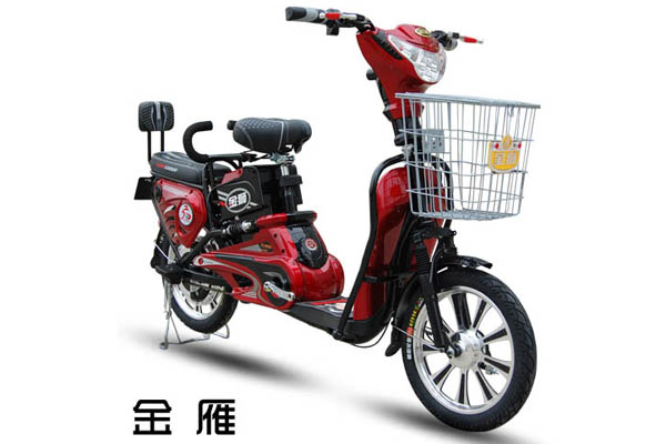 金狮电动车 金雁