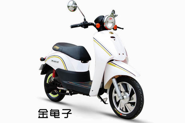 金狮电动车 金龟子
