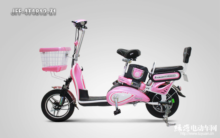 绿源电动车 车型名称	JYB-4R4812-D1