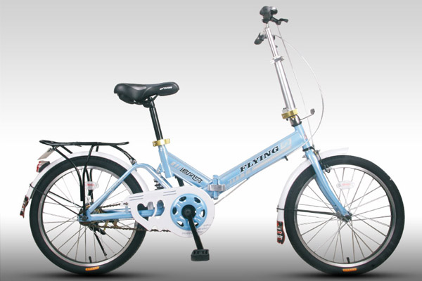 追风鸟电动车 20梦想神鹰