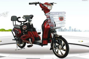 凤凰电动车 金牛王