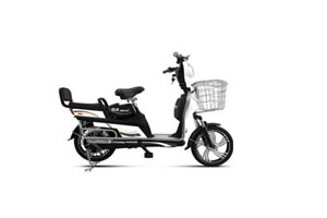 简美电动车 发现.