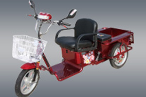 康尔斯电动车 小精灵